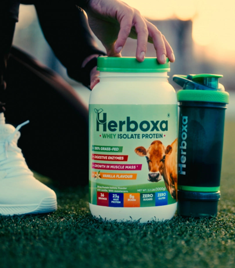 Herboxa Whey Isolate Protein - Unique Digestive Enzymes Formula. Dense, Exquisite chocolate taste. Sugar & Gluten Free