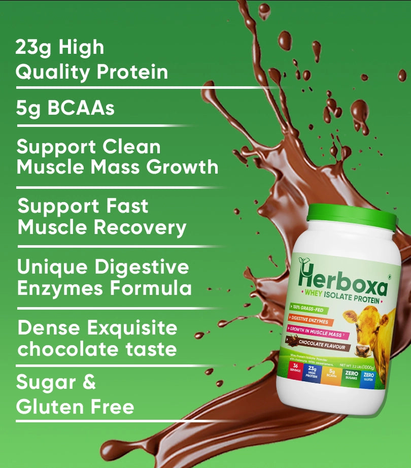 23g High Quality Protein. 5g BCAAs. Support Clean Muscle Mass Growth. Support Fast Muscle Recovery.