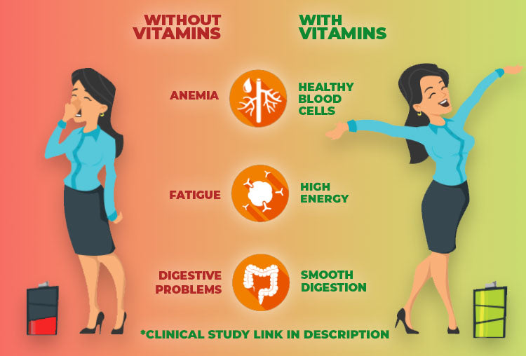 Herboxa Vegan Multivitamins contribute to health blood cells, high energy, and smooth digestion
